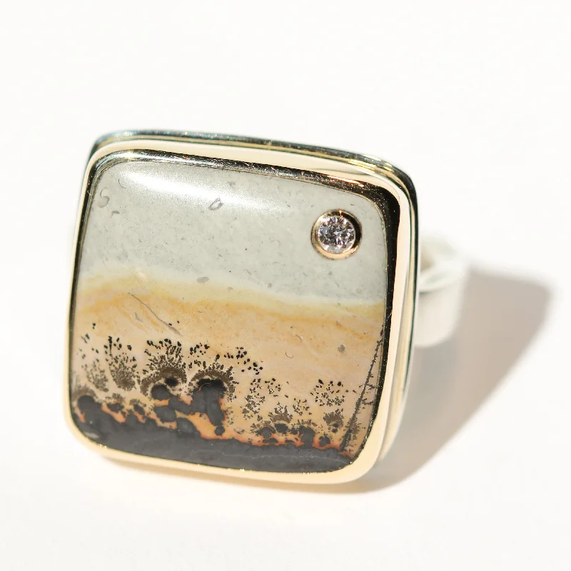 diamond rings for weddings-Picture Jasper Ring